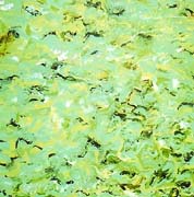 AyurvedArt  Ayurveda-Vata Bild 29