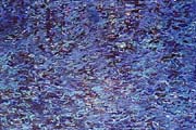 AyurvedArt Ayurveda-Pitta Bild 38